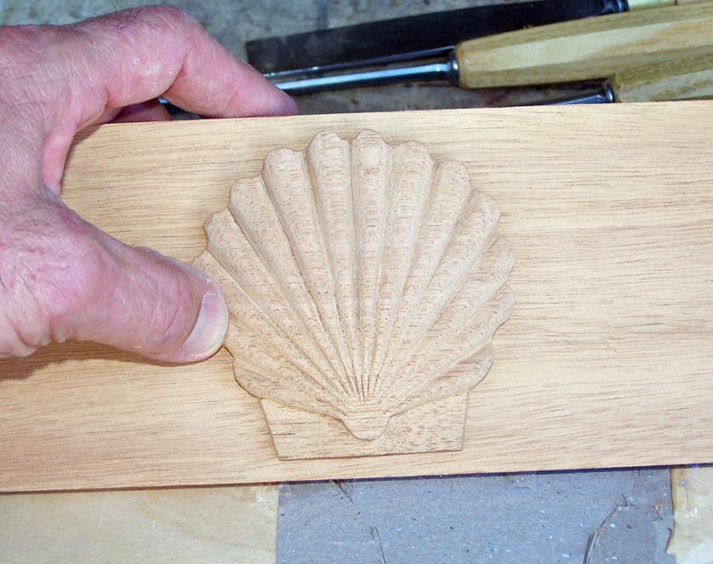 Shell against mahogany background